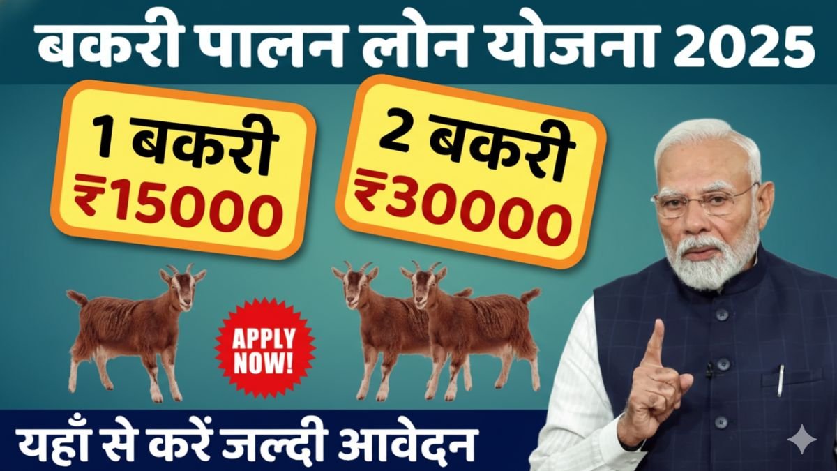 Bakri Palan Loan Yojana 2025